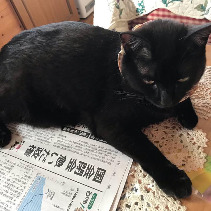 C4c96553 0814 462d b812 50640e2b2245 1623877872160