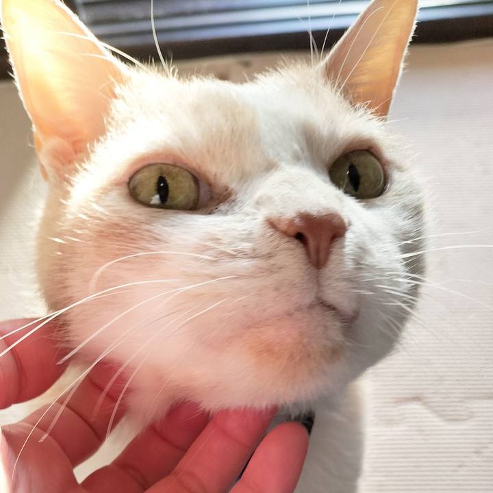 C4c96c79 1c42 4568 af72 e65a57840bc3 1678055504012