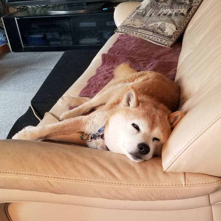 C4c98c09 b7ee 4ccc b619 3ed154ce05fd 1712386166521