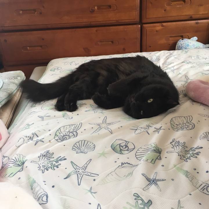 C4c9b6b9 d957 4def 90d8 0286a4b2bccc 1560236938781