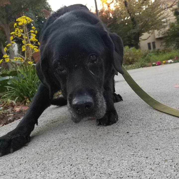 C4ca07d6 5ff1 4c1f 962d db2ec537e4f8 1701506737311