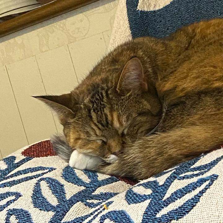 C4ca30d1 09a4 429f 9760 dcd8df5d7645 1736557239732