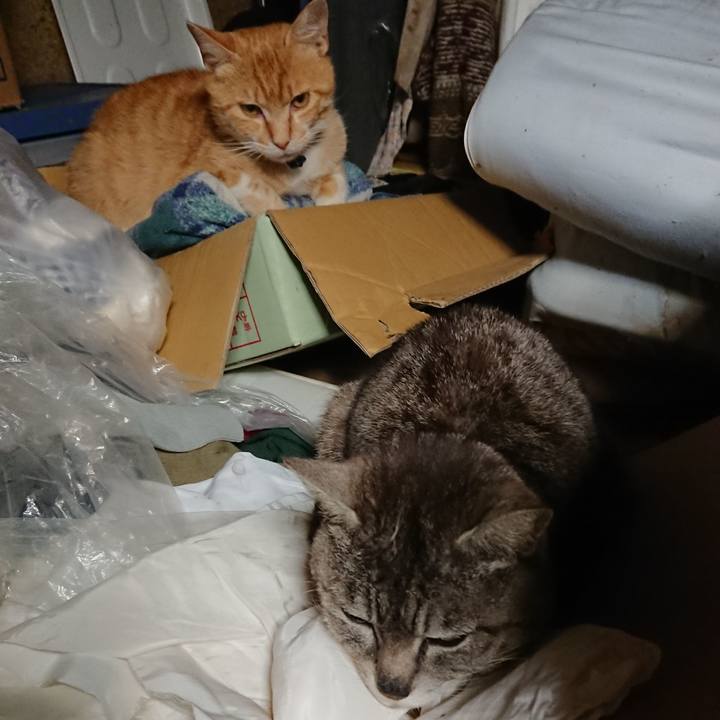 C4ca3be1 6bd4 4c48 b9af a89b90cb744b 1560171865118