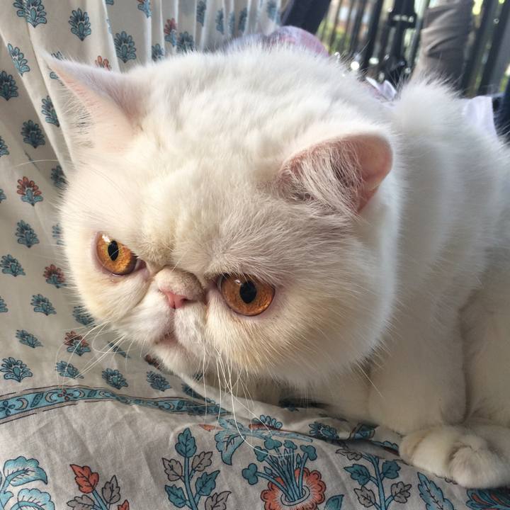 C4ca6a03 f1b8 48b7 a875 05f96cc631bb 1513173862970