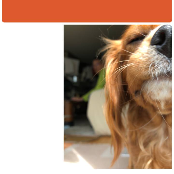 C4ca7034 727e 4e86 8900 9ff8956b53e5 1540646529083