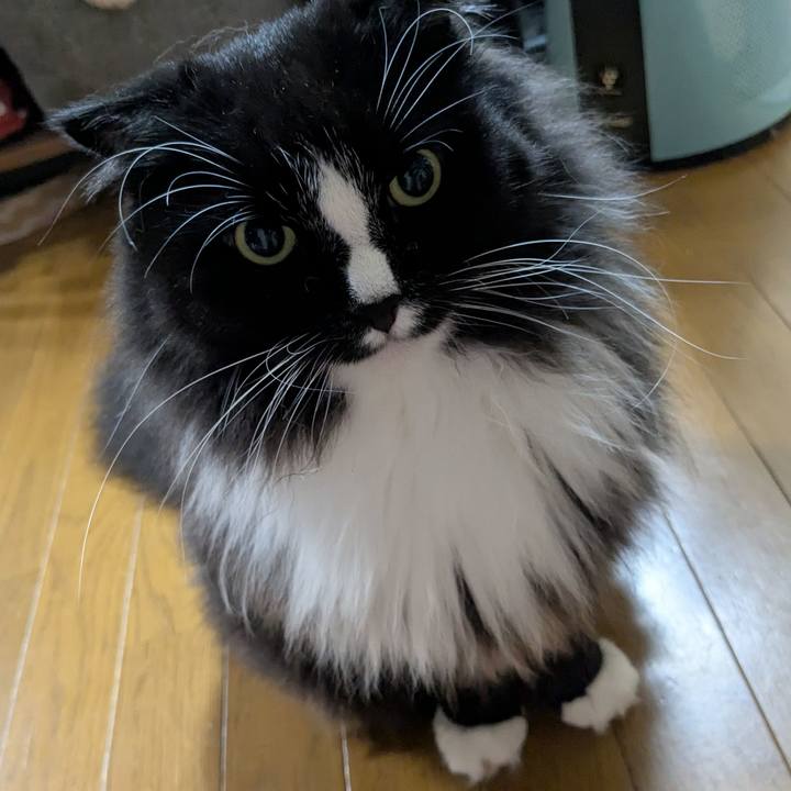 C4ca7579 13da 4b28 a874 d1c5c10084b3 1754515254486