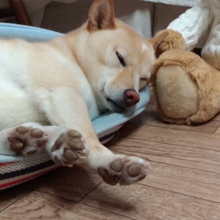 C4ca80e2 fbc9 41e6 9b97 298c580f47f4 1565757181023