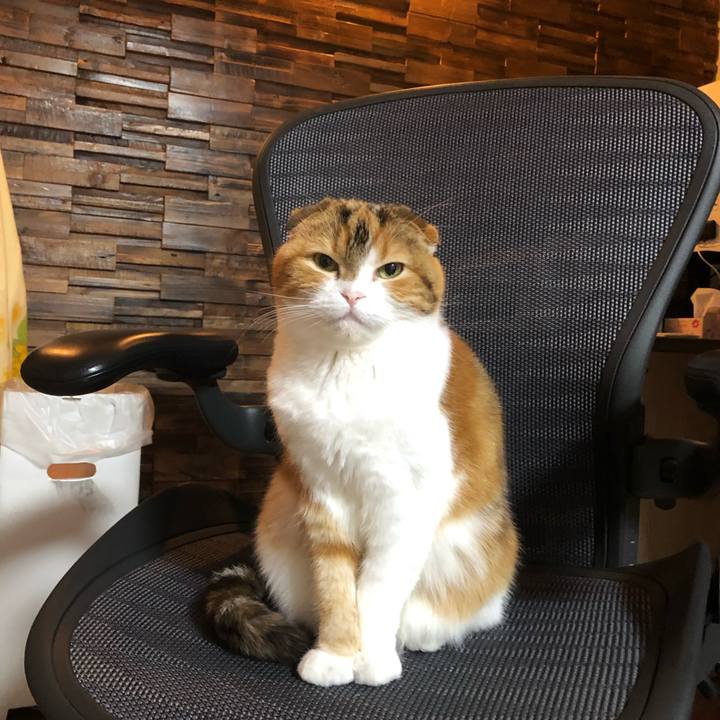 C4ca9245 e289 423f 9e16 3985a26d1f36 1615458673535