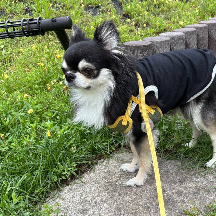 C4ca983a d83b 4a80 9ae1 666f9368d002 1748191322959