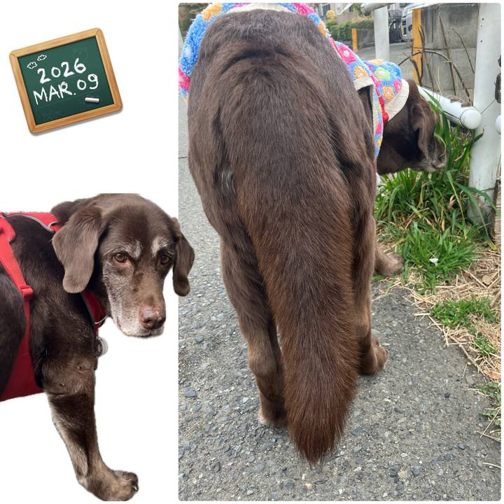 C4cab067 772c 4aaa 9b7d 77ee5f9cbf34 1773112645804