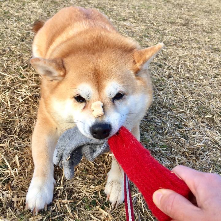 C4cac872 0bef 49d0 bc7a 3376f8afd0d5 1581593529739