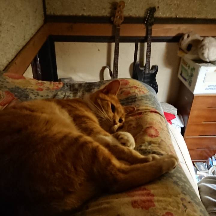 C4cae06d 63e6 4f15 8e3c 29408c5c3d81 1601293924097