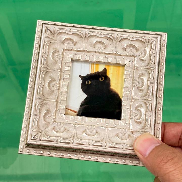 C4cb0599 7324 46fd bb85 e32de668cbea 1636111472227