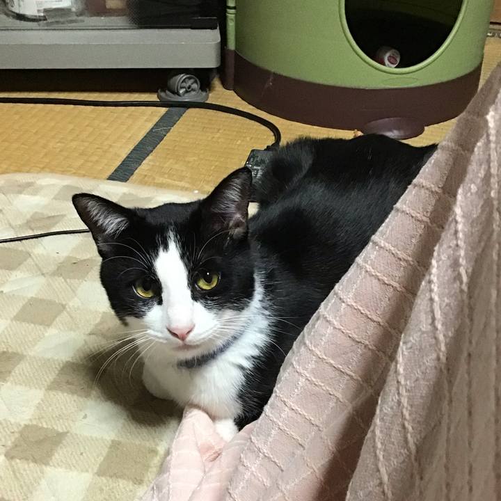 C4cb1a69 bd78 4dbe 80a1 4105bb73ab55 1668166510368