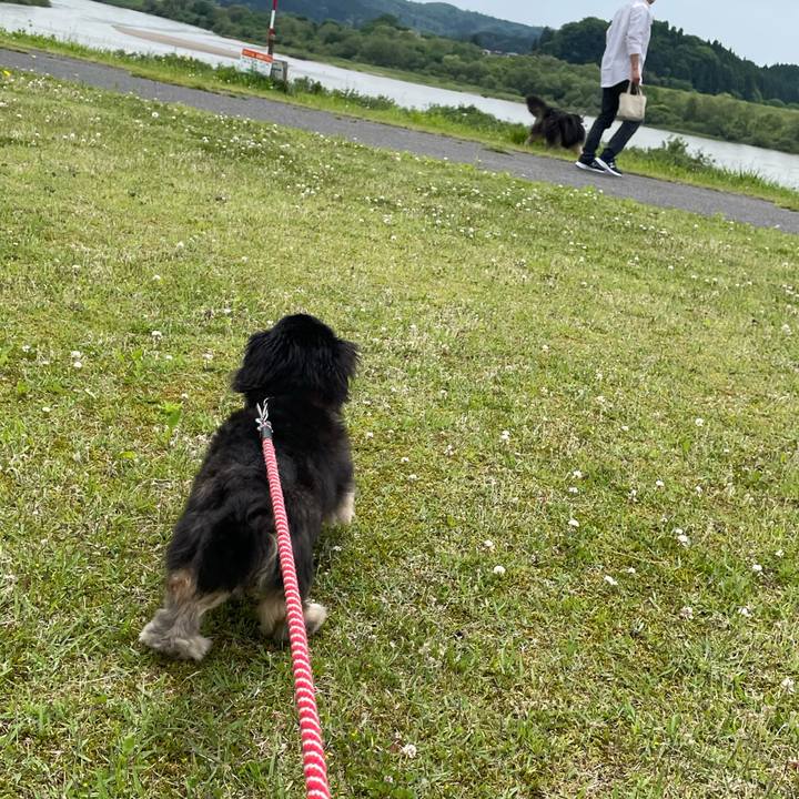 C4cb666c aec6 4655 b5d3 61da11cf3fcf 1622952517215