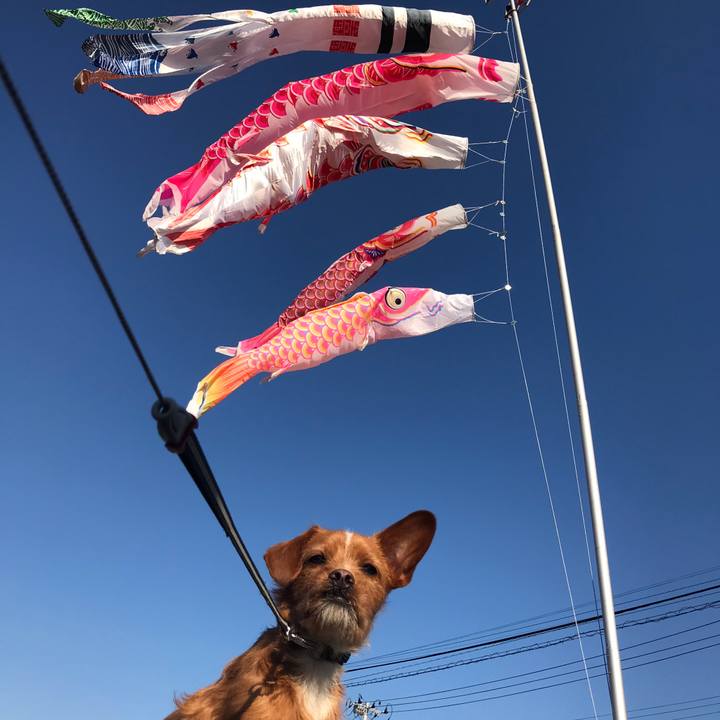 C4cb6c20 bef5 4854 95b8 b5bb1c64d21d 1557014506419