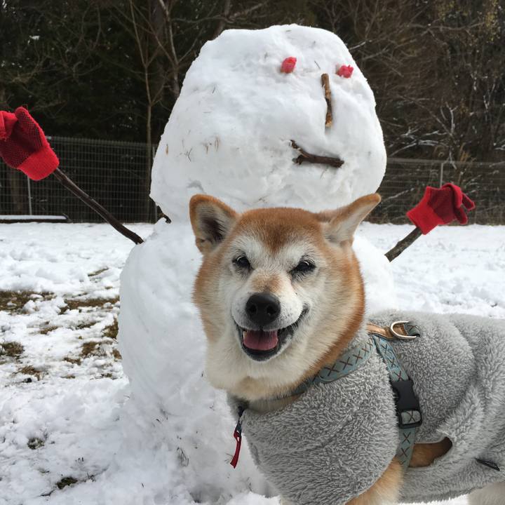 C4cb70c5 046a 4b15 9644 cc0b737bb8e5 1548565101439