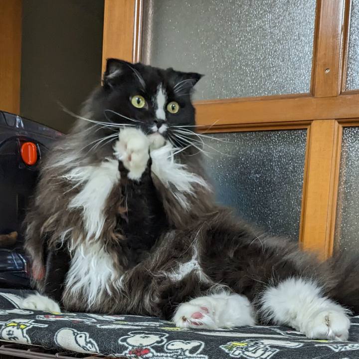 C4cb907a d765 4c03 95f2 600a5c9dfae4 1693476750033