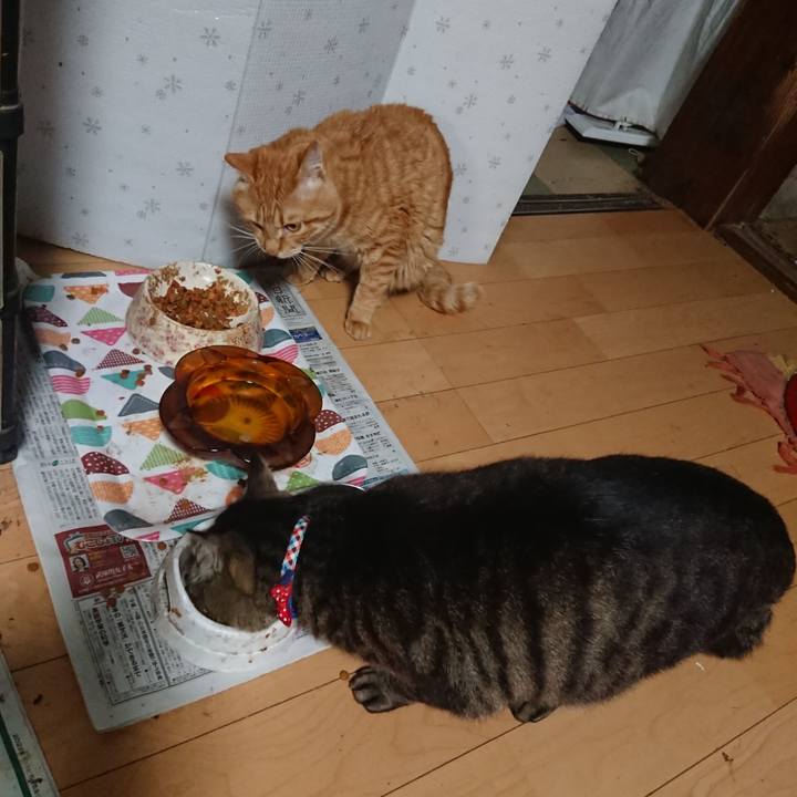 C4cbaee2 cf0f 409e bdef 05e25b764a82 1654080551806