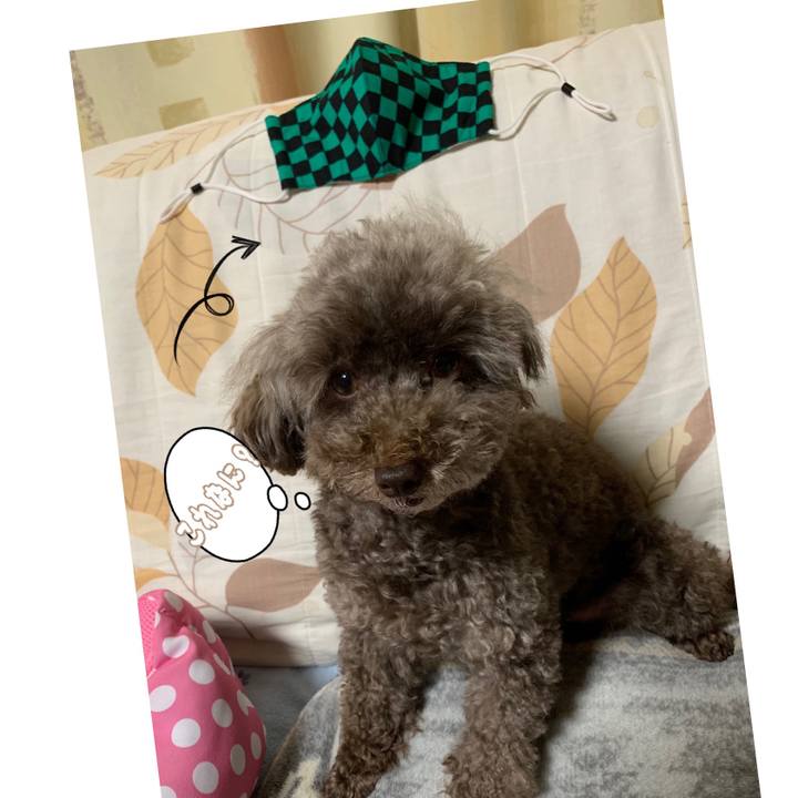 C4cbcf81 d78e 4a1d a195 776bfe68e9ad 1595278128404