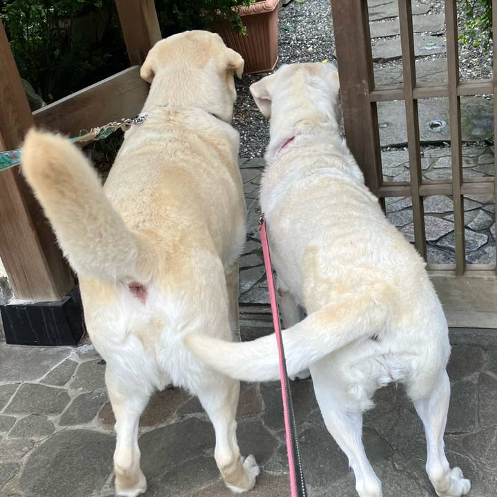 C4cc0628 8d63 407f b9a3 3ca816f750de 1684580137015