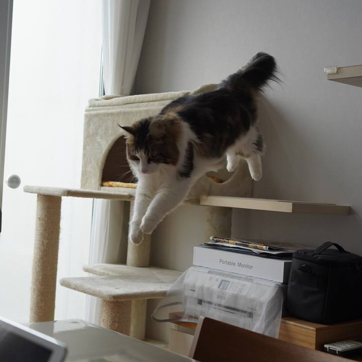 C4cc1172 d4db 47b2 ac95 5cdcbf164050 1608350201451