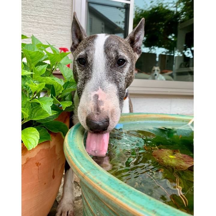 C4cc499c d15c 4cb8 b68b 30cd23ae8c0f 1620537362903