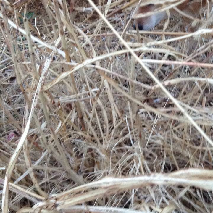 C4cc5eaa 9c38 4cc0 ae84 66f96242c88d 1552208197725