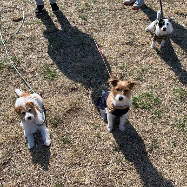 C4ccba7f ea6e 4767 9ff9 68901112cbcc 1710118463428