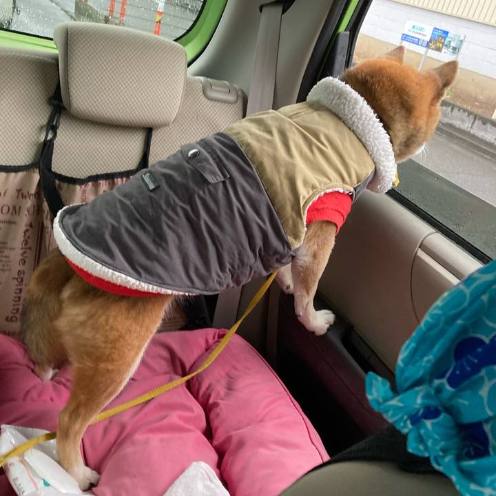 C4ccdf1c 494d 4d7b bd5f 37ea9754bf62 1765681204181