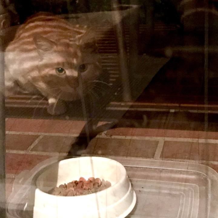 C4cd0be4 d12b 44a3 966d fbdbd0315ae7 1526625866642