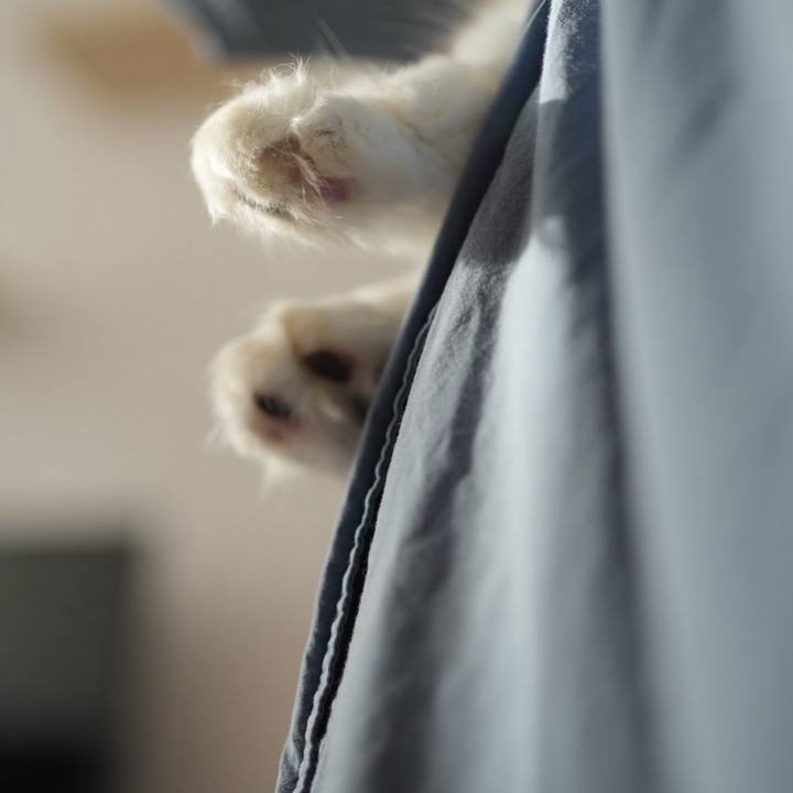 C4cd28cc 2e80 45ef b969 7b7a95493e92 1716037813675