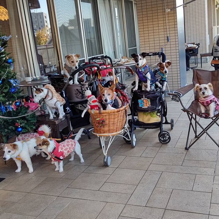 C4cd2dfe 7b1c 40f0 a7b9 59a65d2f772e 1639549756787