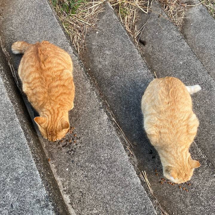 C4cd3cef db44 422d a1f9 ca842878c55e 1713783678952