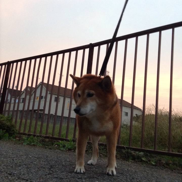 C4cd4c52 ff8f 4502 8d84 af1798f858b5 1539686688030