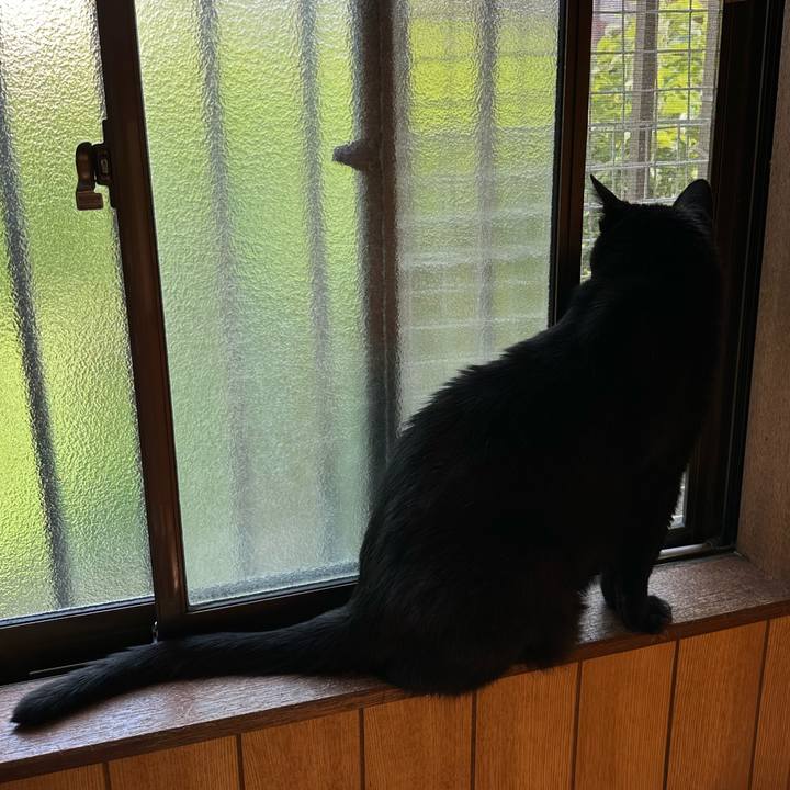 C4cd9bcb 631f 481e 89bf 9c13c7c5d8c8 1688004916494