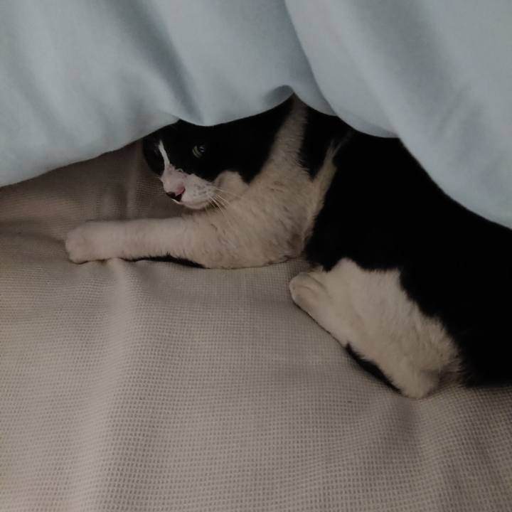 C4cdb878 60b4 47f8 a403 3cd35ba3c5c1 1634825828571