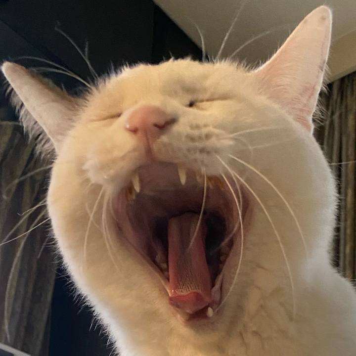 C4cdbe70 e28a 4264 b7b1 0da962cfb718 1735429437149