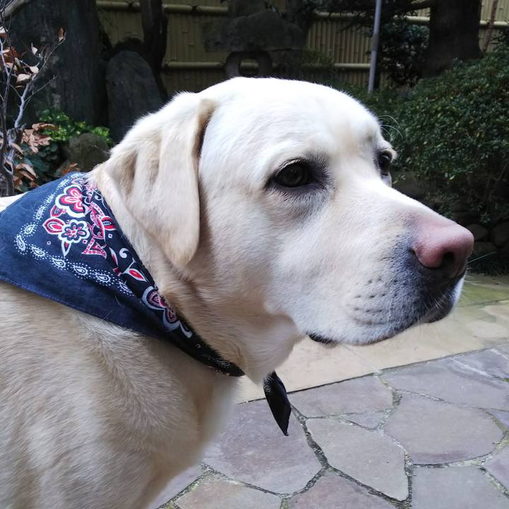 C4ce1dc5 a606 4605 b08a 098ec64ba8dd 1578797797714