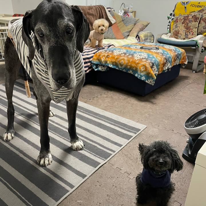 C4ce36dc 3e56 4e56 a764 180334e8cd60 1647919150738