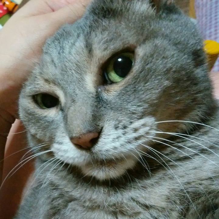 C4ce37e1 9fc1 4c64 9406 598ac1075de3 1596810141654