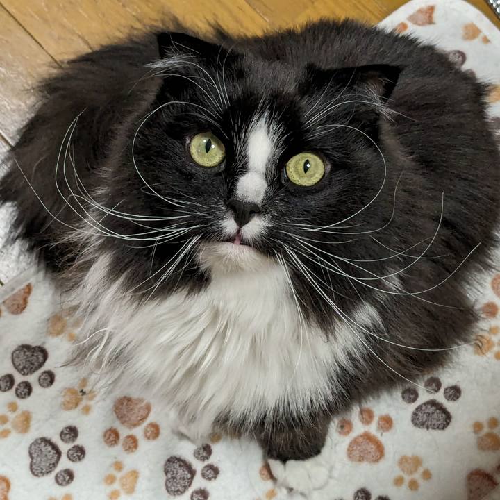 C4ce395a c429 43a0 98b5 9728e05a260e 1710747488090