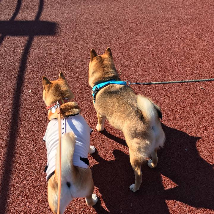 C4ce56ce 4d8d 492a 82a4 e6ace65d73f8 1517887841498