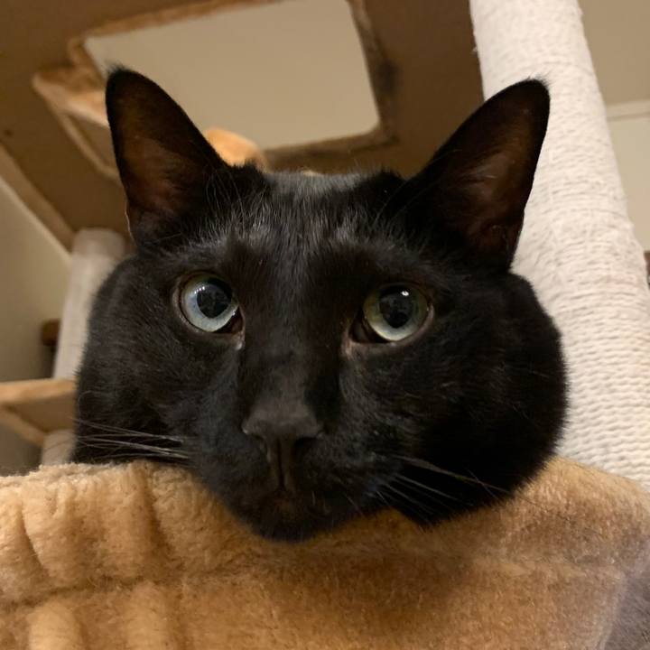 C4ced217 9d01 4aa2 9f4f 0234329f150b 1696759276788