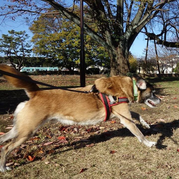 C4ced28a ea62 48d7 afc2 a94283f2f87a 1511138156235