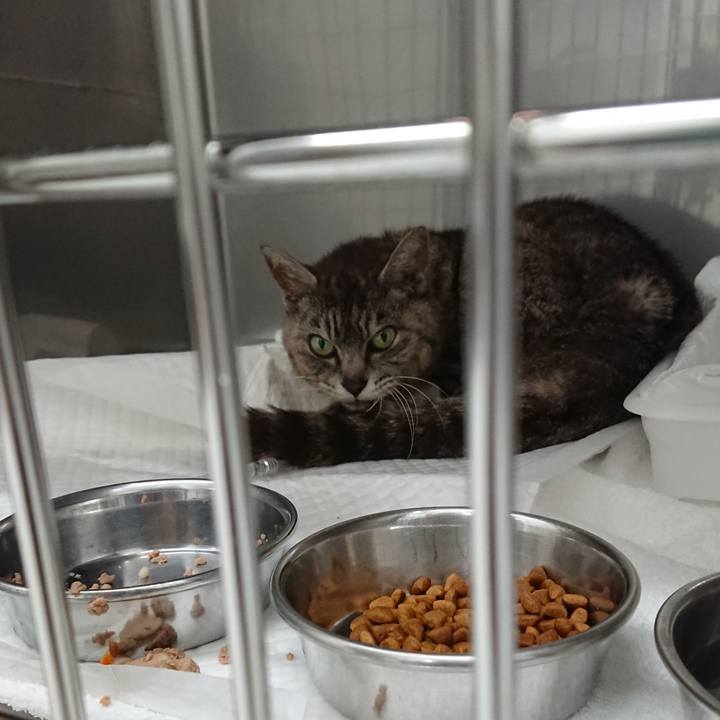 C4cedf04 34d3 4ba0 a2d0 beb06390c44a 1595409538305