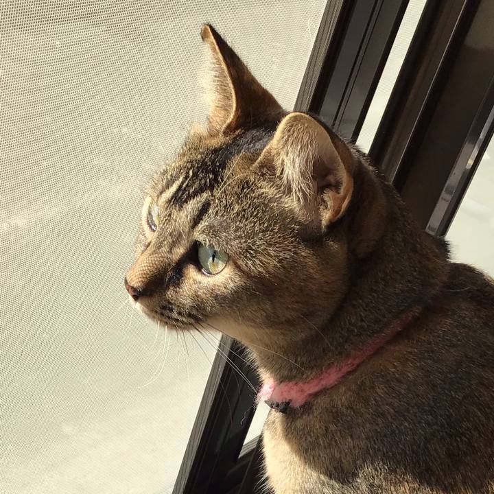 C4cf12e7 64f2 4f0e a9c3 675813ca6998 1608267832884