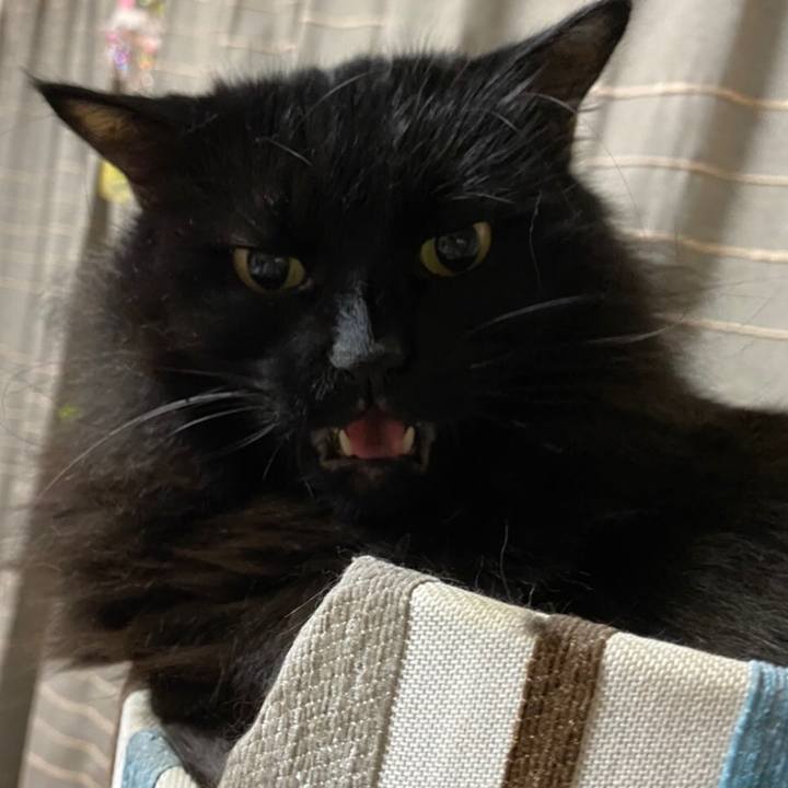 C4cf6219 9314 483f 999e c77e0e41be82 1574064989625