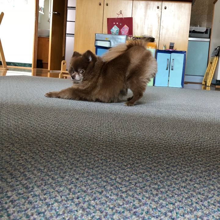 C4cf7bfb fab9 4a54 b8a2 f6feeb5fb703 1552280789873