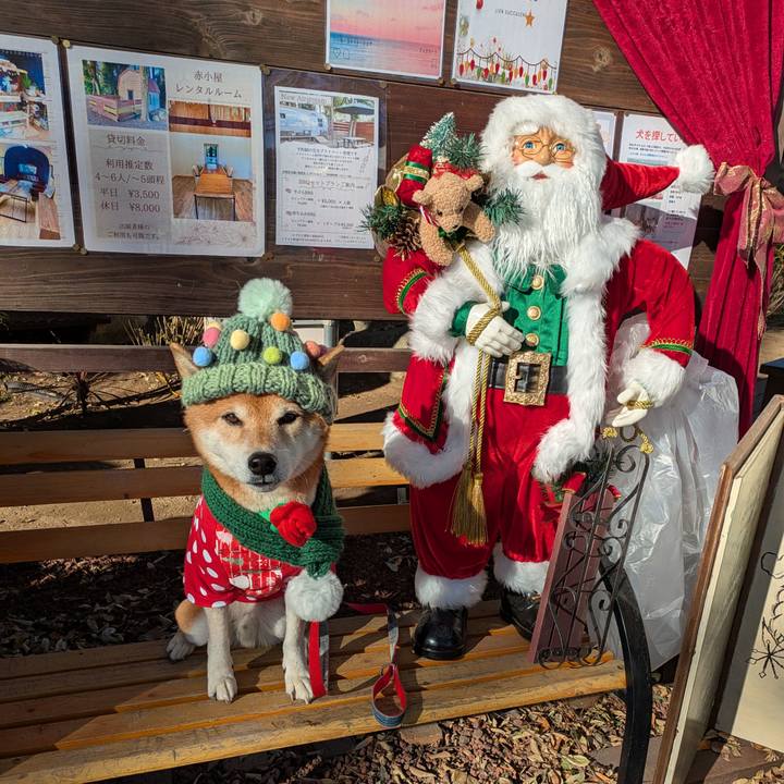 C4cfd8f7 320e 4788 b2d2 7c9c72ca8f66 1733811894347